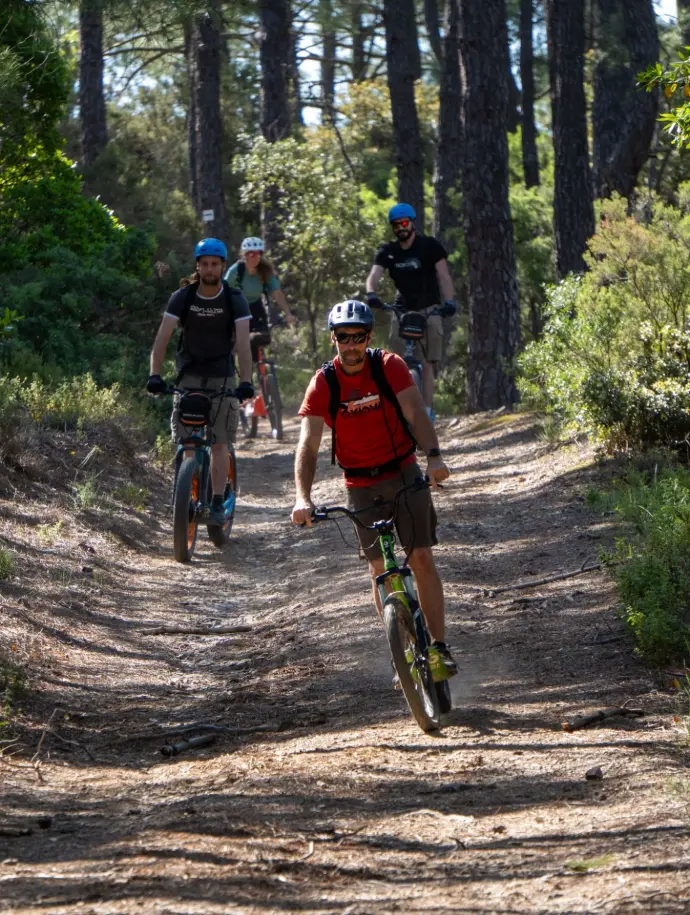 descente à travers bois